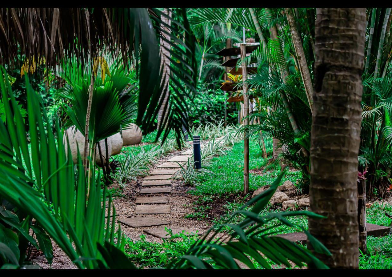 Villas Pura Vibra Потреро Экстерьер фото